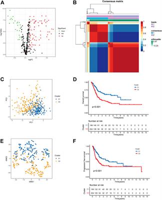 Discovery of Notch Pathway-Related Genes for Predicting Prognosis and Tumor Microenvironment Status in Bladder Cancer